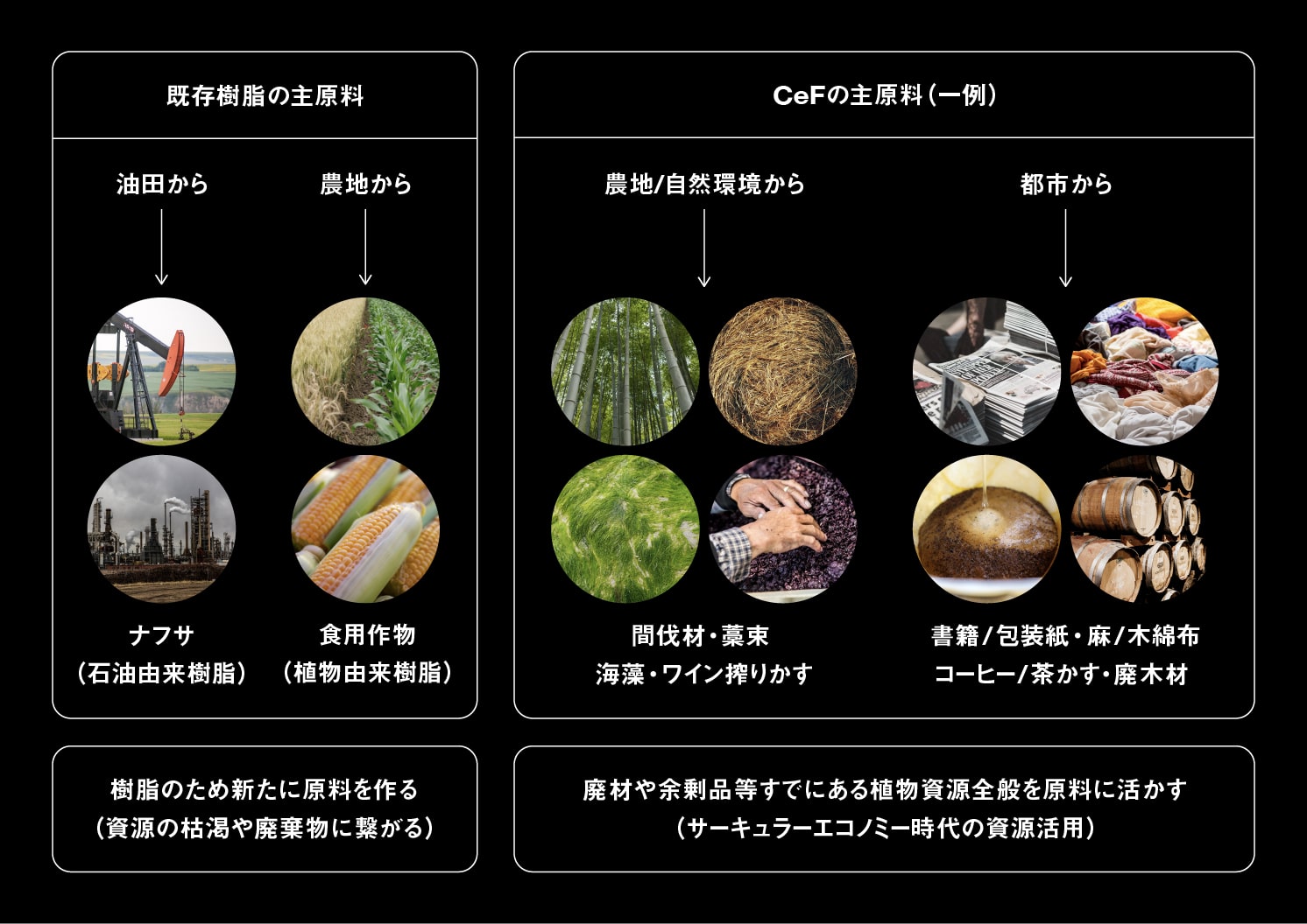 既存樹脂の主原料とCeF(セルロースファイバー)の主原料(一例) | Make New Magazine「未来の定番」をつくるために、パナソニックのリアルな姿を伝えるメディア