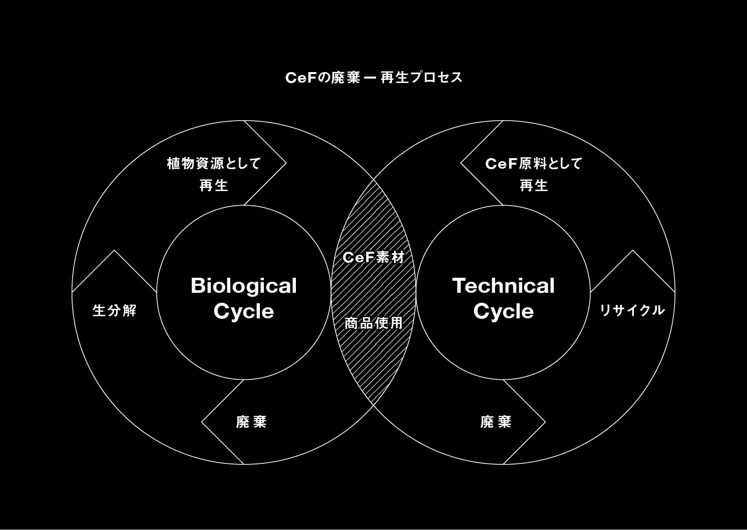 CeF(セルロースファイバー)の廃棄・再生プロセス | Make New Magazine「未来の定番」をつくるために、パナソニックのリアルな姿を伝えるメディア